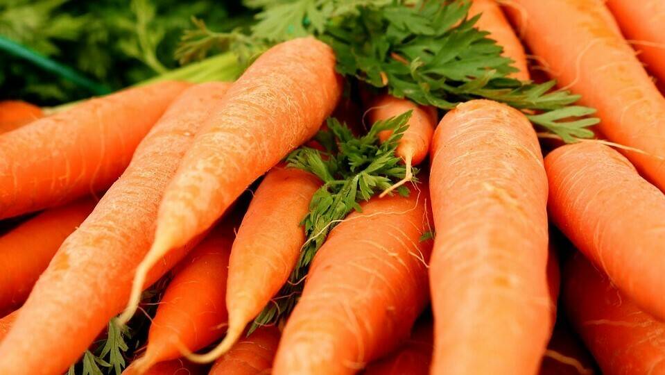 carrots-3399806_960_720|carrots-984287_960_720